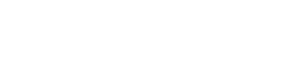 Newcard Logo